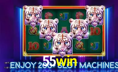 Security Systems 55win